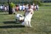 Renee Stegman Jordan Herron_04_14_2020-02_41_57_DSC_2005_01a
